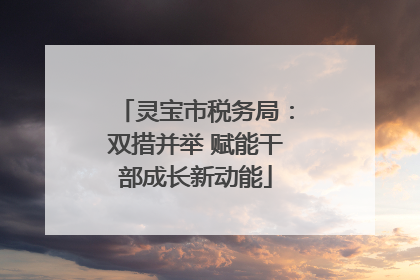 灵宝市税务局：双措并举 赋能干部成长新动能