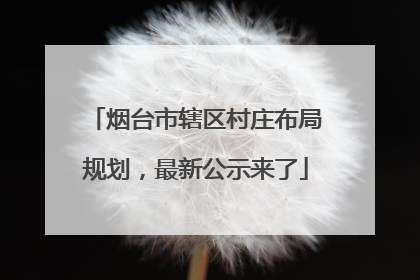 烟台市辖区村庄布局规划，最新公示来了