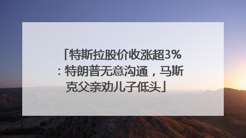 特斯拉股价收涨超3%：特朗普无意沟通，马斯克父亲劝儿子低头