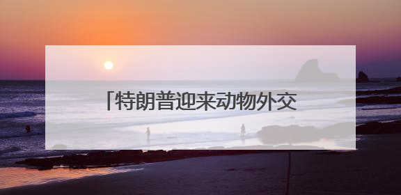 特朗普迎来动物外交：沙特将送两只“大猫咪”去美国首都