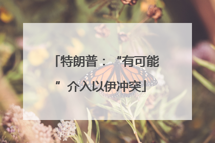 特朗普：“有可能”介入以伊冲突