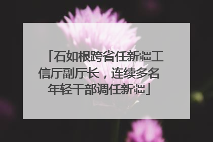 石如根跨省任新疆工信厅副厅长，连续多名年轻干部调任新疆