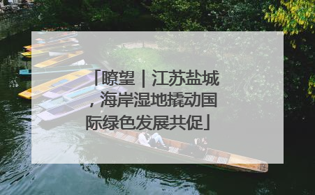 瞭望｜江苏盐城，海岸湿地撬动国际绿色发展共促