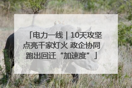 电力一线｜10天攻坚点亮千家灯火 政企协同跑出回迁“加速度”