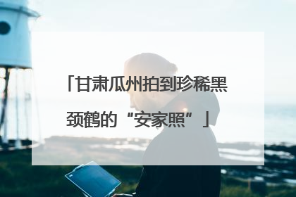 甘肃瓜州拍到珍稀黑颈鹤的“安家照”