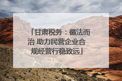 甘肃税务：循法而治 助力民营企业合规经营行稳致远