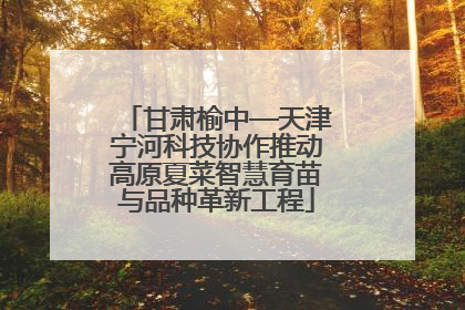 甘肃榆中—天津宁河科技协作推动高原夏菜智慧育苗与品种革新工程