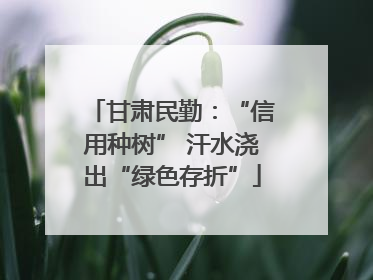 甘肃民勤：“信用种树” 汗水浇出“绿色存折”