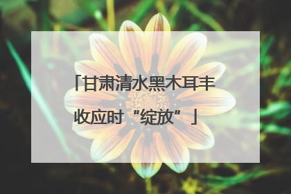 甘肃清水黑木耳丰收应时“绽放”