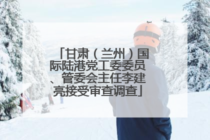 甘肃（兰州）国际陆港党工委委员、管委会主任李建亮接受审查调查