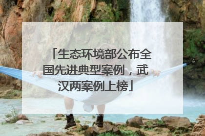 生态环境部公布全国先进典型案例，武汉两案例上榜
