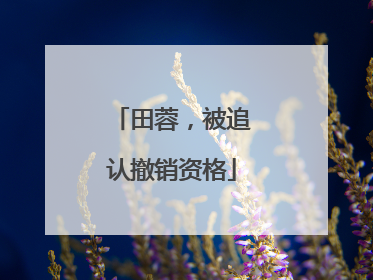 田蓉，被追认撤销资格