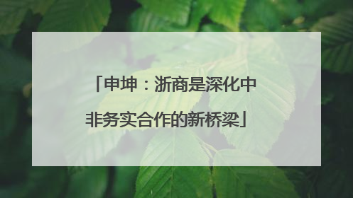 申坤：浙商是深化中非务实合作的新桥梁