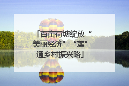 百亩荷塘绽放“美丽经济”“莲”通乡村振兴路