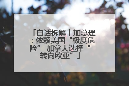 白话拆解丨加总理：依赖美国“极度危险” 加拿大选择“转向欧亚”