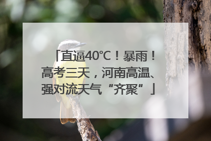 直逼40℃！暴雨！高考三天，河南高温、强对流天气“齐聚”