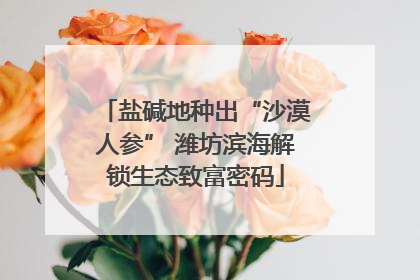 盐碱地种出“沙漠人参” 潍坊滨海解锁生态致富密码