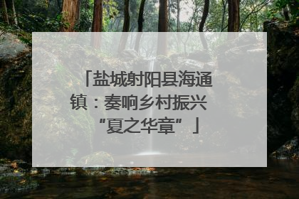 盐城射阳县海通镇：奏响乡村振兴“夏之华章”