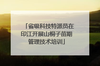 省级科技特派员在印江开展山桐子苗期管理技术培训
