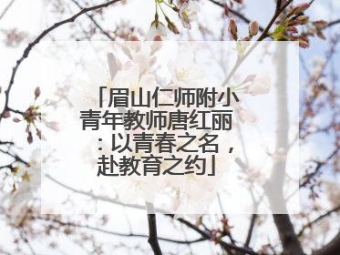 眉山仁师附小青年教师唐红丽：以青春之名，赴教育之约