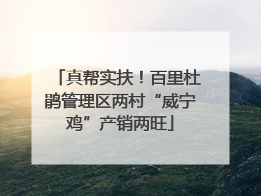 真帮实扶！百里杜鹃管理区两村“威宁鸡”产销两旺
