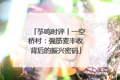 筝鸣时评丨一空桥村：强筋麦丰收背后的振兴密码