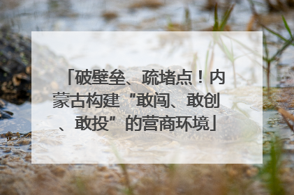破壁垒、疏堵点！内蒙古构建“敢闯、敢创、敢投”的营商环境