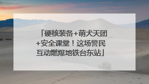 硬核装备+萌犬天团+安全课堂！这场警民互动燃爆地铁台东站