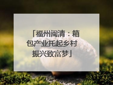 福州闽清：箱包产业托起乡村振兴致富梦