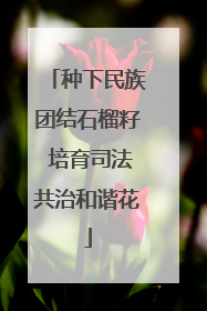 种下民族团结石榴籽 培育司法共治和谐花