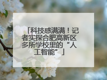 科技感满满！记者实探合肥高新区多所学校里的“人工智能”