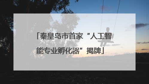 秦皇岛市首家“人工智能专业孵化器”揭牌