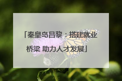 秦皇岛昌黎：搭建就业桥梁 助力人才发展