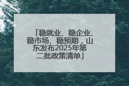 稳就业、稳企业、稳市场、稳预期，山东发布2025年第二批政策清单