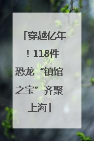 穿越亿年！118件恐龙“镇馆之宝”齐聚上海