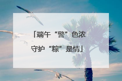 端午“警”色浓 守护“粽”是情