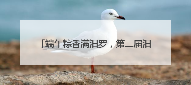 端午粽香满汨罗，第二届汨罗江粽子文化消费季启幕