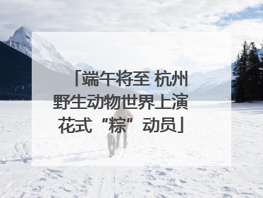 端午将至 杭州野生动物世界上演花式“粽”动员