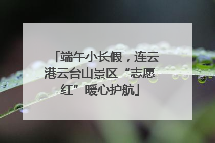 端午小长假，连云港云台山景区“志愿红”暖心护航