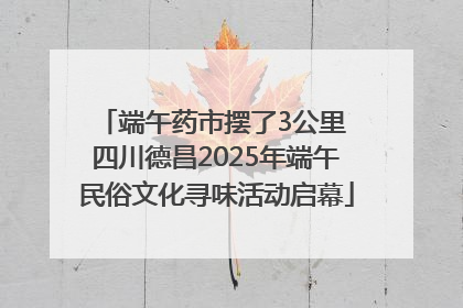 端午药市摆了3公里 四川德昌2025年端午民俗文化寻味活动启幕