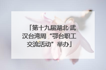 第十九届湖北·武汉台湾周“鄂台职工交流活动”举办
