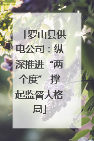 罗山县供电公司：纵深推进“两个度” 撑起监督大格局
