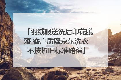 羽绒服送洗后印花脱落 客户质疑京东洗衣不按折旧标准赔偿