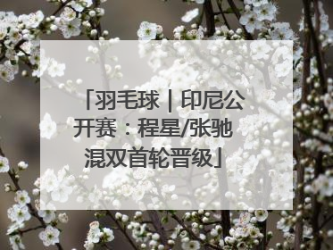 羽毛球｜印尼公开赛：程星/张驰混双首轮晋级