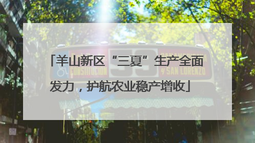 羊山新区“三夏”生产全面发力，护航农业稳产增收