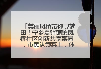 美丽凤桥带你寻梦田！宁乡夏铎铺镇凤桥社区创新共享菜园，市民认领菜土，体验耕种收获乐趣