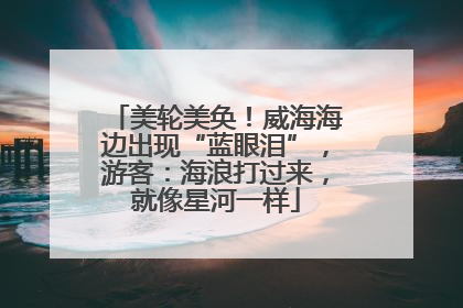 美轮美奂！威海海边出现“蓝眼泪”，游客：海浪打过来，就像星河一样