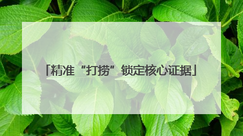 精准“打捞”锁定核心证据