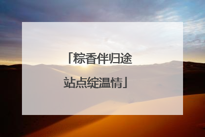 粽香伴归途 站点绽温情