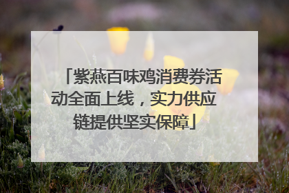 紫燕百味鸡消费券活动全面上线，实力供应链提供坚实保障